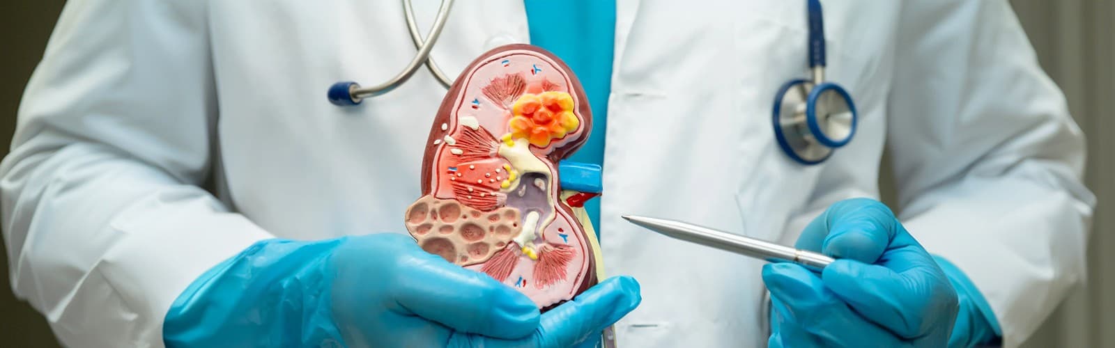 Nephrology