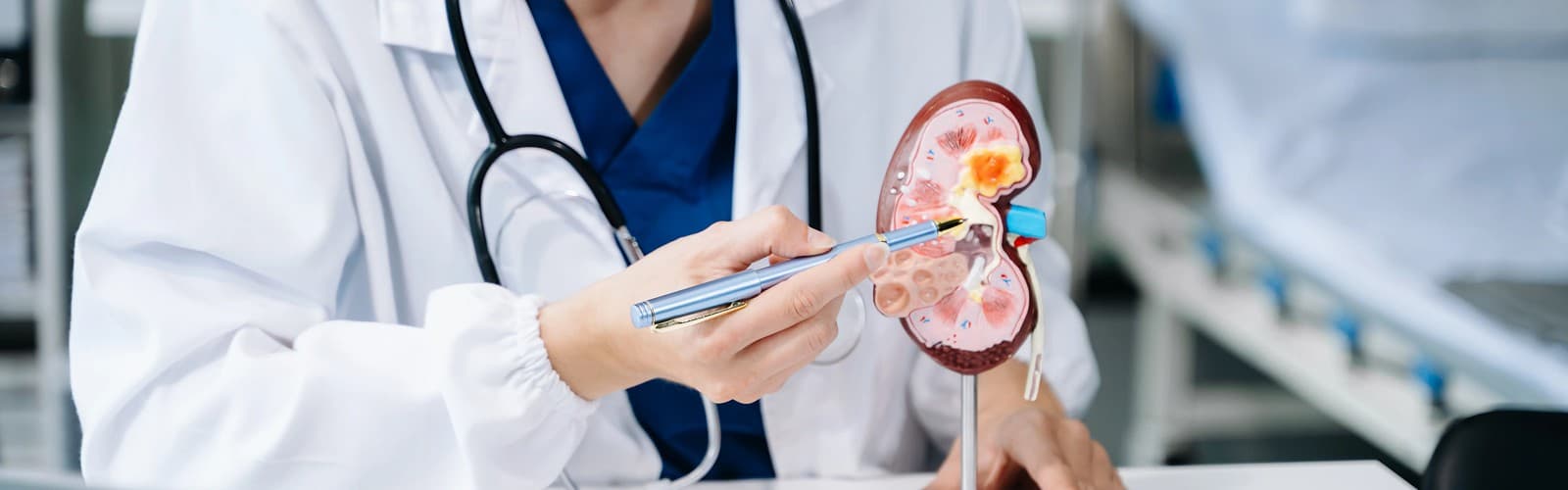 Urology